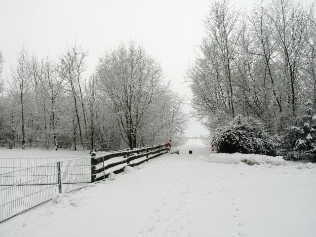 Winter in Burg 2005/06